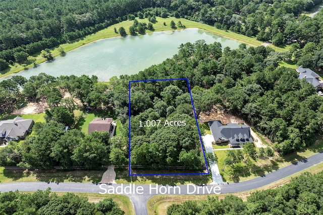 27140 Saddlehorn Dr, Waller, TX 77484 - photo 1