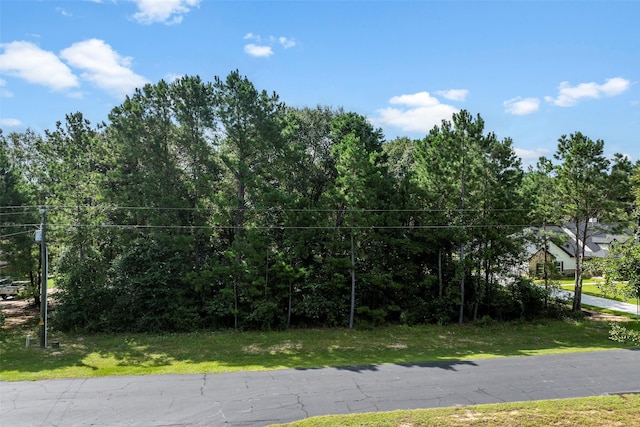 27140 Saddlehorn Dr, Waller, TX 77484 - photo 4