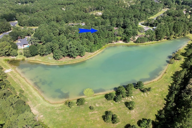 27140 Saddlehorn Dr, Waller, TX 77484 - photo 8