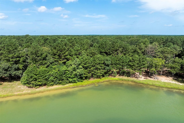 27140 Saddlehorn Dr, Waller, TX 77484 - photo 10