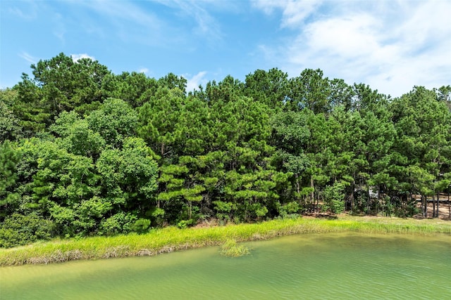 27140 Saddlehorn Dr, Waller, TX 77484 - photo 11