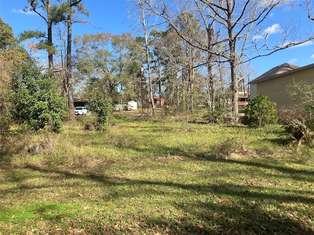171 Cherry Tree, Livingston, TX 77351 - photo 1