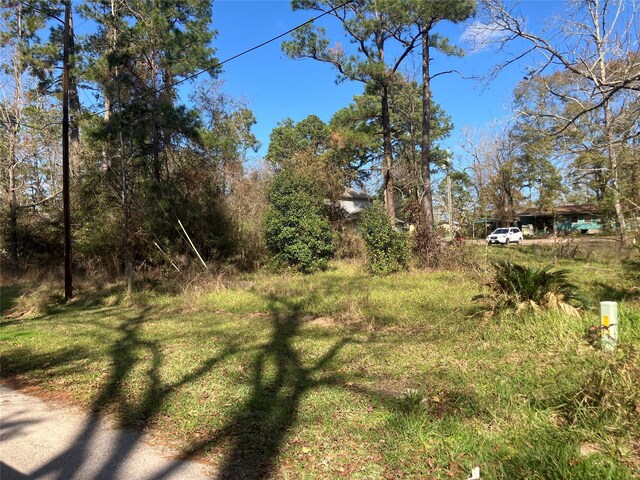 171 Cherry Tree, Livingston, TX 77351 - photo 2