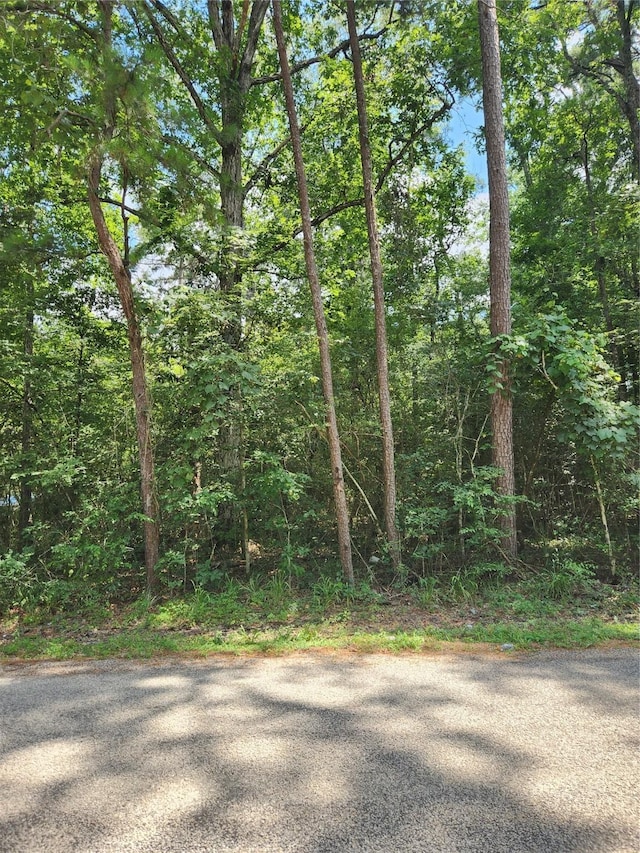 TBD County Road 373, Splendora, TX 77372 - photo 2