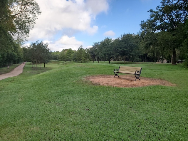 1810 Keatley Dr, Houston, TX 77077 - photo 45