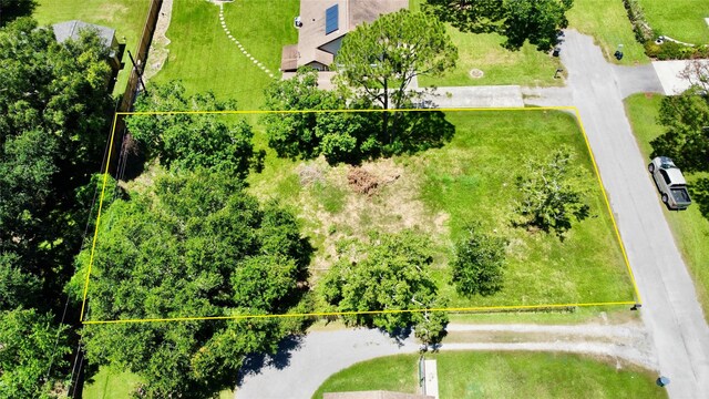 6519 Pinecrest, Hitchcock, TX 77563 - photo 3