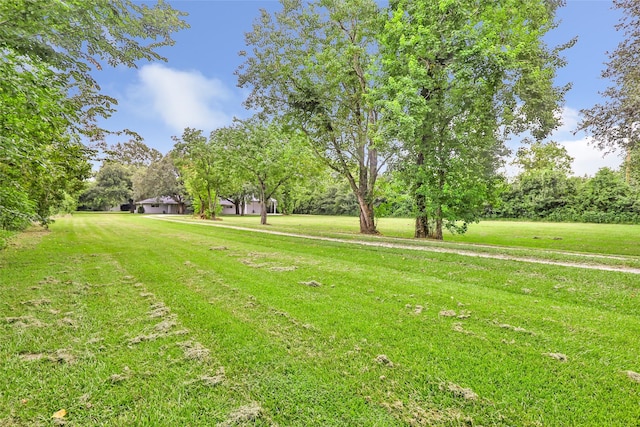16716 Bohemian Hall Rd, Crosby, TX 77532 - photo 3