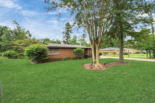 607 Airline Dr, Conroe, TX 77301 - photo 4
