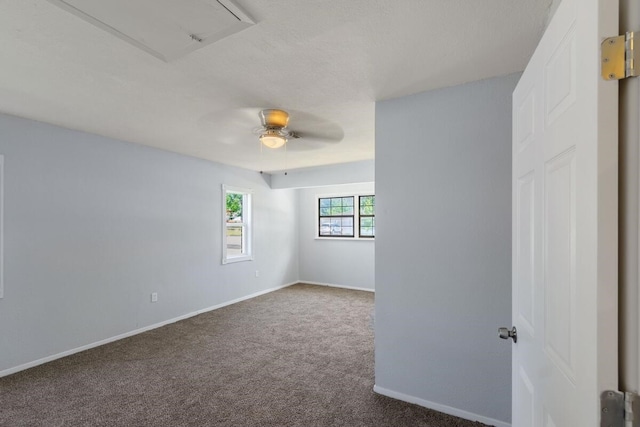 5217 45th St, Lubbock, TX 79414 - photo 8