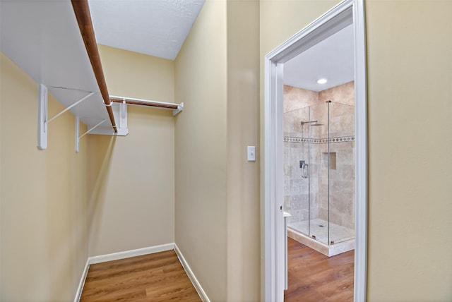 8019 Spring Bluebonnet Dr, Sugar Land, TX 77479 - photo 30