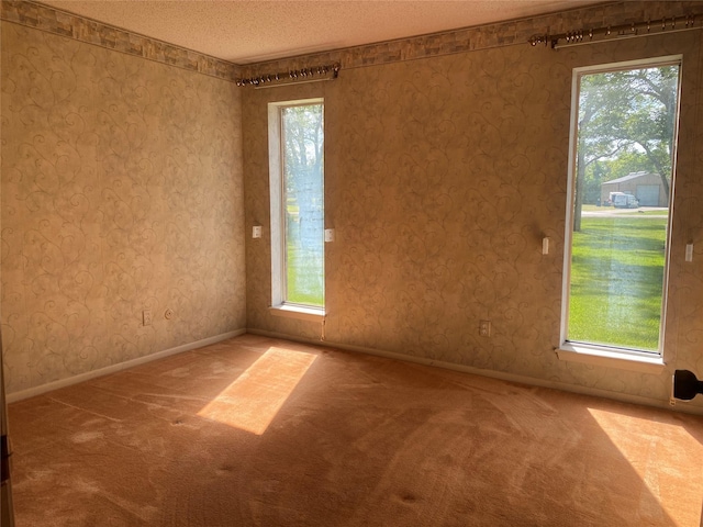 127 Woodcrest St, Clute, TX 77531 - photo 20