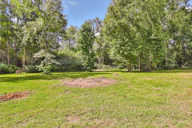 29803 Parker Rd, Magnolia, TX 77354 - photo 49