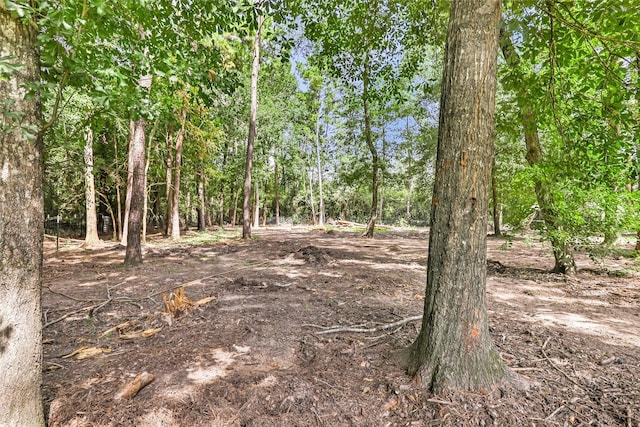 29803 Parker Rd, Magnolia, TX 77354 - photo 50