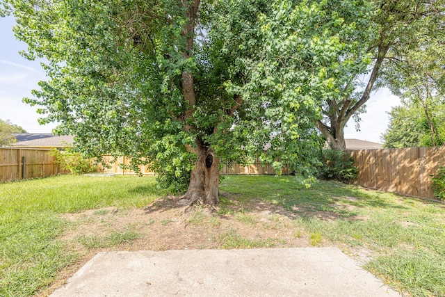 11815 Spruce Mountain Dr, Houston, TX 77067 - photo 23