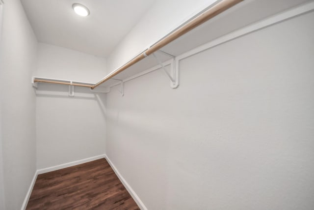 16707 Summer Dawn Ln, Houston, TX 77095 - photo 22