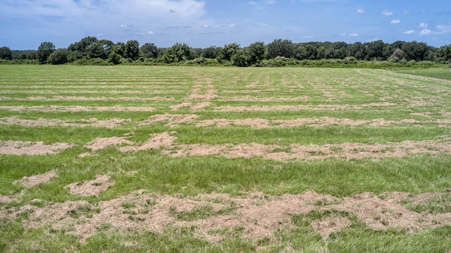 24659 Richards Rd, Hempstead, TX 77445 - photo 6