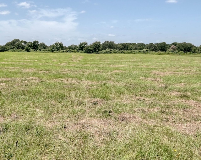 24659 Richards Rd, Hempstead, TX 77445 - photo 7