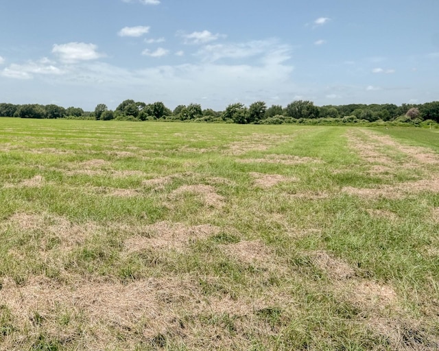 24659 Richards Rd, Hempstead, TX 77445 - photo 8