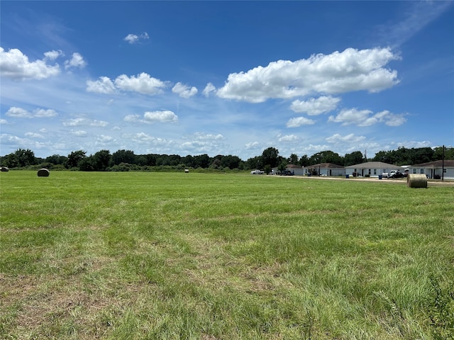 24659 Richards Rd, Hempstead, TX 77445 - photo 13