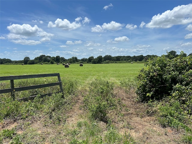 24659 Richards Rd, Hempstead, TX 77445 - photo 15