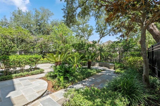5025 Tangle Ln Unit A, Houston, TX 77056 - photo 5