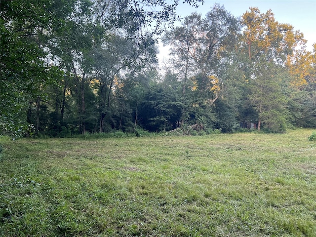 64 Ranch Acres Dr, Huntsville, TX 77340 - photo 3