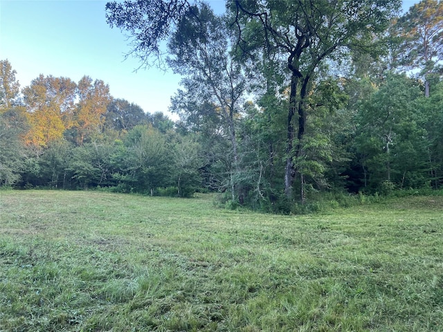 64 Ranch Acres Dr, Huntsville, TX 77340 - photo 2