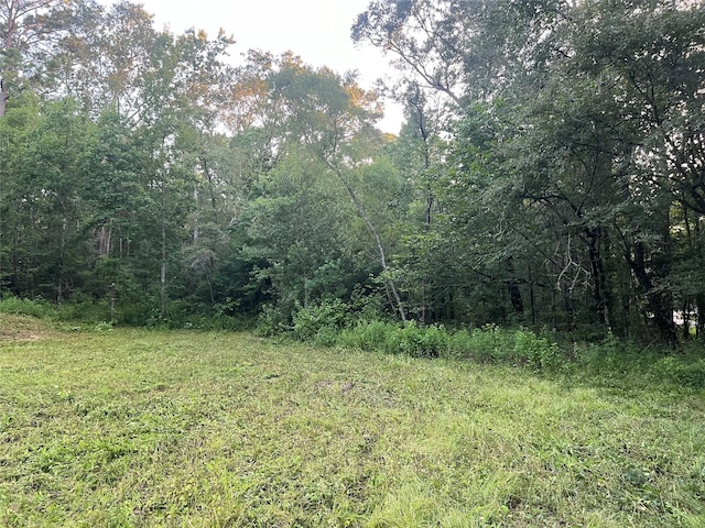 64 Ranch Acres Dr, Huntsville, TX 77340 - photo 7