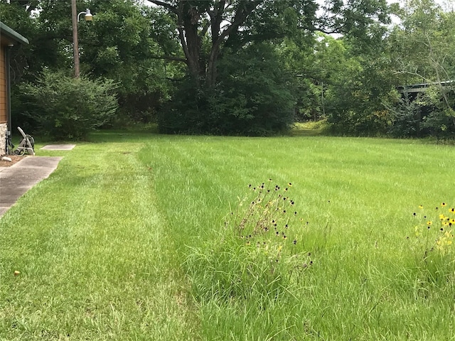 0 Spring Cypress Rd, Spring, TX 77373 - photo 1