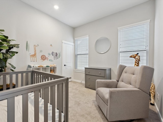 8411 Berry Brush Ln, Houston, TX 77022 - photo 22