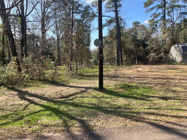 TBD Apple Tree, Livingston, TX 77351 - photo 1