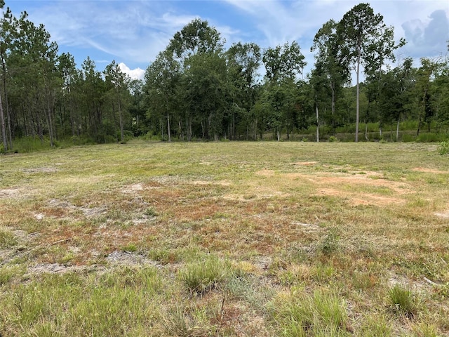 0 Bonfire, Livingston, TX 77351 - photo 3