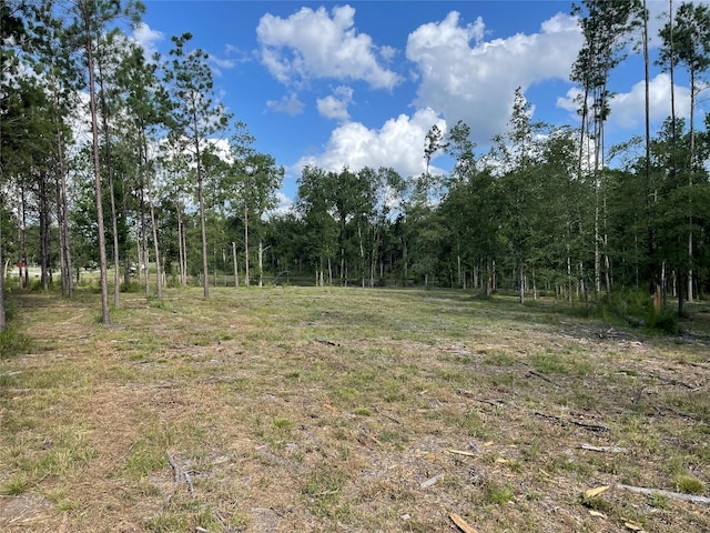 0 Bonfire, Livingston, TX 77351 - photo 2