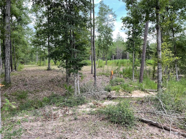 0 Bonfire, Livingston, TX 77351 - photo 1