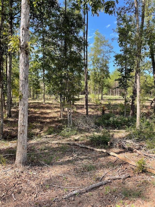 0 Bonfire, Livingston, TX 77351 - photo 4