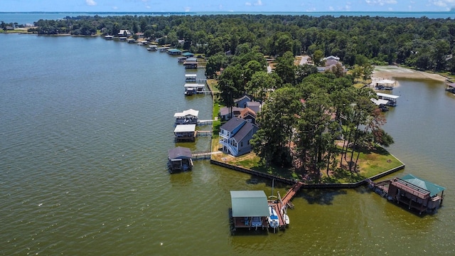 154 Point Dr, Onalaska, TX 77360 - photo 41
