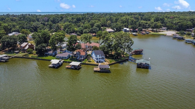 154 Point Dr, Onalaska, TX 77360 - photo 43