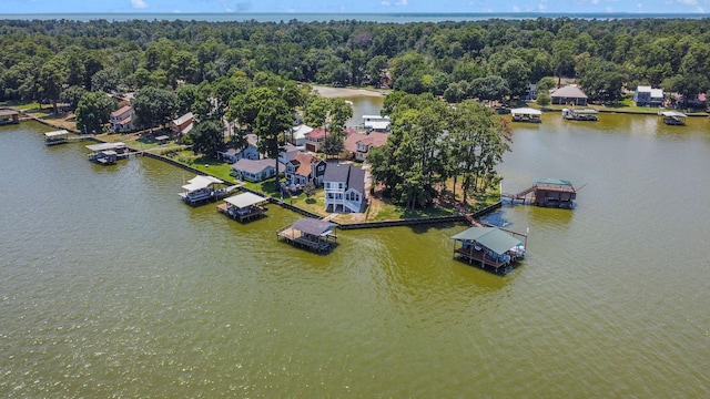 154 Point Dr, Onalaska, TX 77360 - photo 42