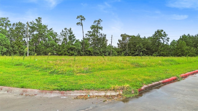 8901 Fm 1960 Bypass Rd W, Humble, TX 77338 - photo 2