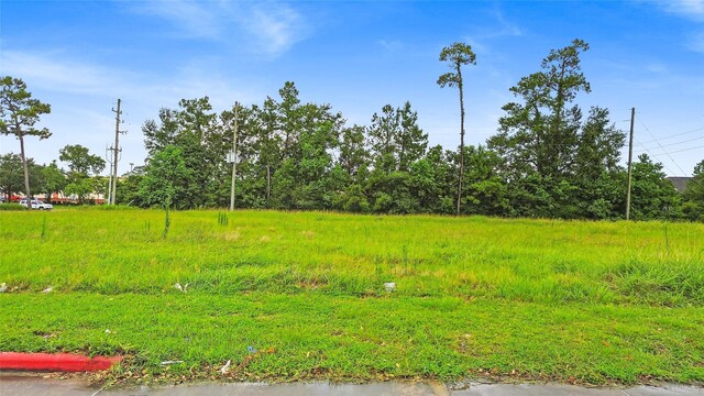 8901 Fm 1960 Bypass Rd W, Humble, TX 77338 - photo 4