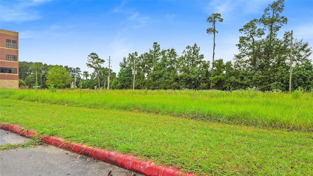 8901 Fm 1960 Bypass Rd W, Humble, TX 77338 - photo 5