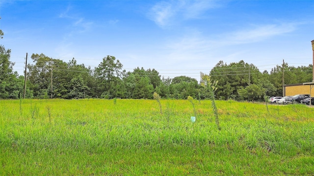 8901 Fm 1960 Bypass Rd W, Humble, TX 77338 - photo 6