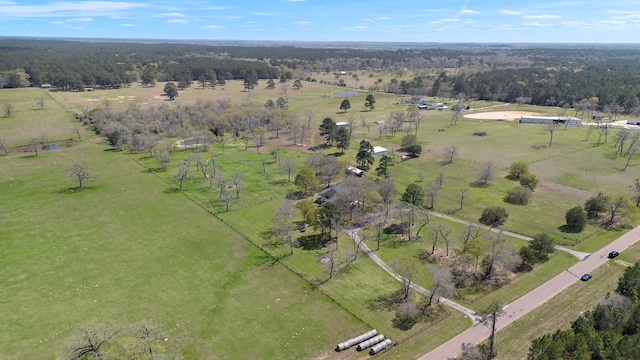 32540 Courtney, Navasota, TX 77868 - photo 45