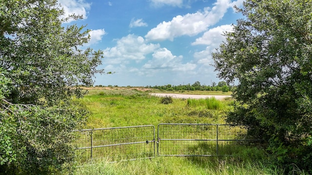 9009 Katy Hockley Rd, Katy, TX 77493 - photo 14