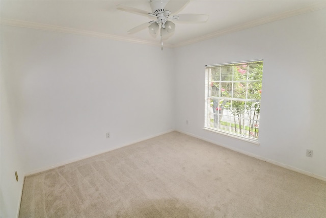 13611 Country Green Ct, Houston, TX 77059 - photo 23