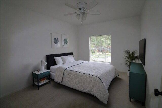 13611 Country Green Ct, Houston, TX 77059 - photo 26