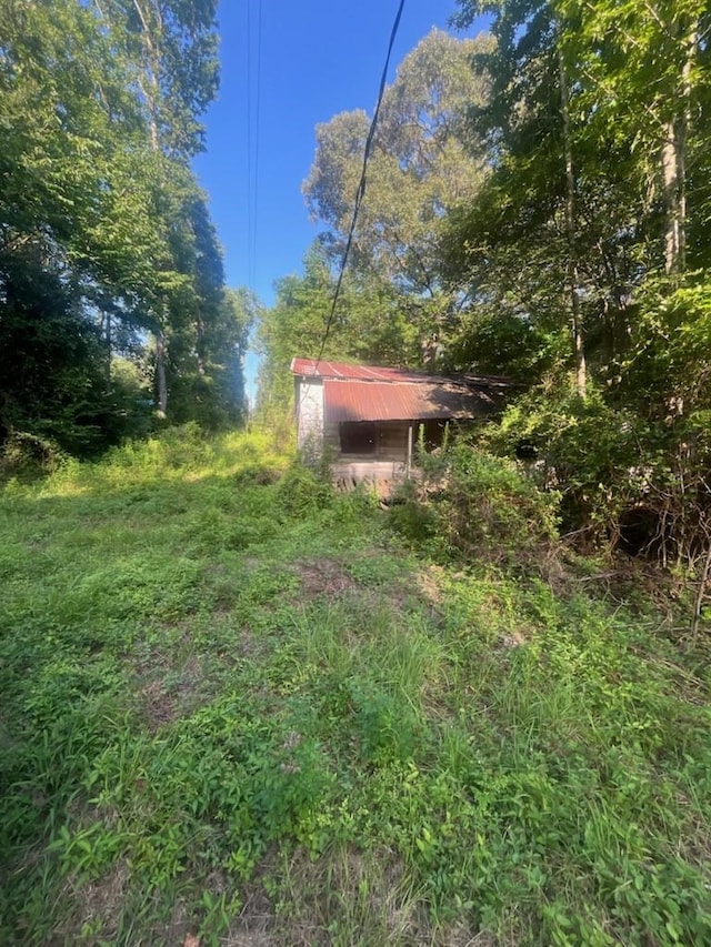 0 Phelps Creek Dr, Huntsville, TX 77340 - photo 4