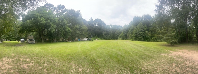 10710 Waukegan Rd, Conroe, TX 77306 - photo 2
