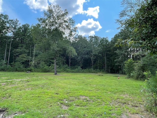 1085 County Road 2141, Cleveland, TX 77327 - photo 1