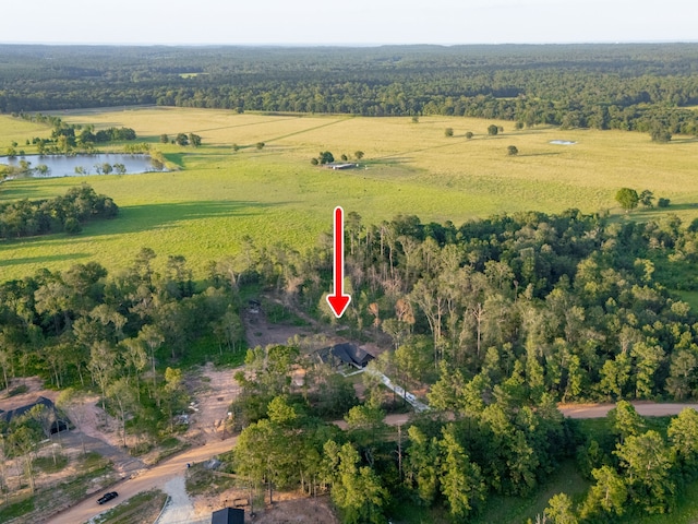 1091 Denson Allen Rd, Coldspring, TX 77331 - photo 40